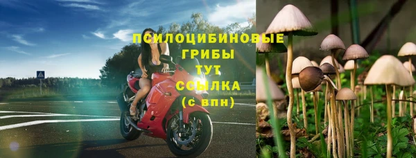герыч Арсеньев