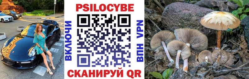 Галлюциногенные грибы Psilocybe  hydra как зайти  Макарьев 